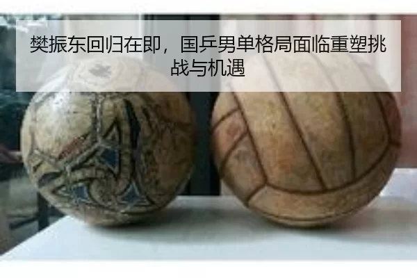 樊振东回归在即，国乒男单格局面临重塑挑战与机遇